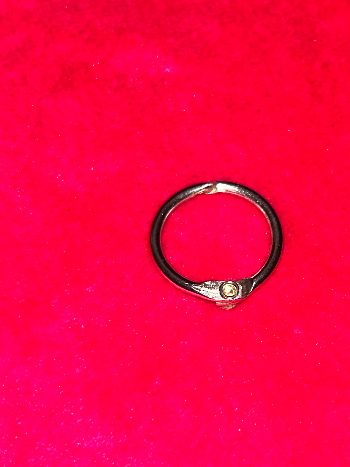 Double purse charm